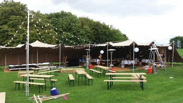 Festoon Lighting - Image 4
