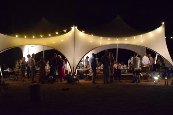 Festoon Lighting - Image 3